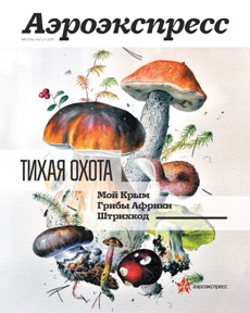 Бортовой журнал «Аэроэкспресс» в 2019 г. снизил тираж более чем на 85%.